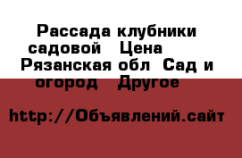 Рассада клубники садовой › Цена ­ 20 - Рязанская обл. Сад и огород » Другое   